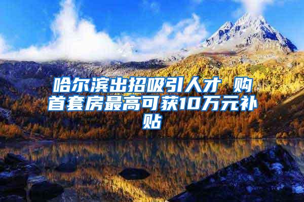 哈尔滨出招吸引人才 购首套房最高可获10万元补贴