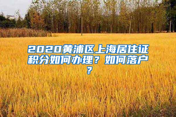 2020黄浦区上海居住证积分如何办理？如何落户？