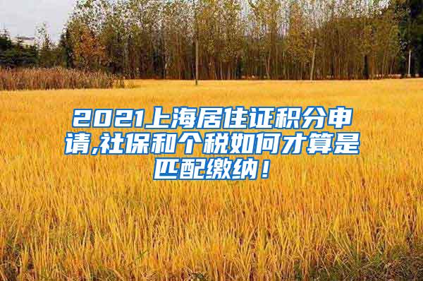 2021上海居住证积分申请,社保和个税如何才算是匹配缴纳！