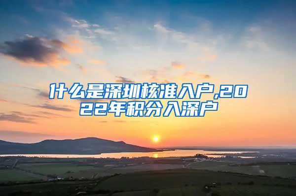 什么是深圳核准入户,2022年积分入深户