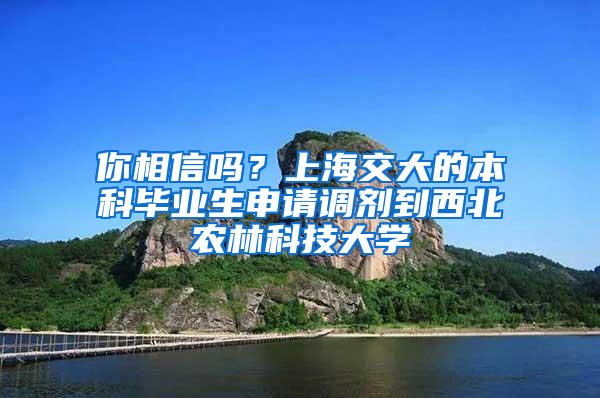 你相信吗？上海交大的本科毕业生申请调剂到西北农林科技大学