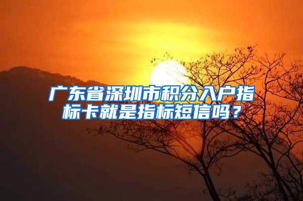 广东省深圳市积分入户指标卡就是指标短信吗？