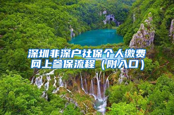 深圳非深户社保个人缴费网上参保流程（附入口）