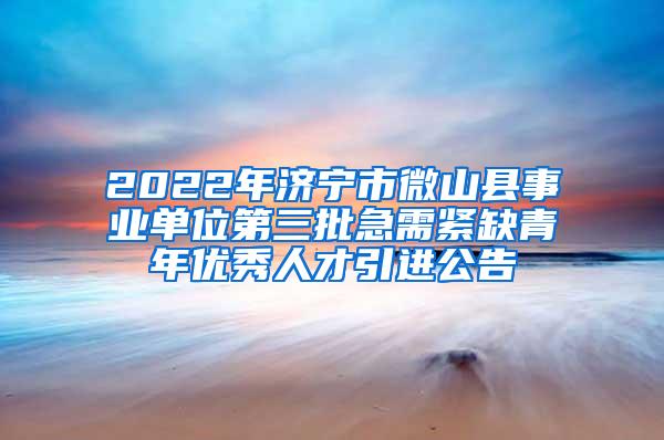 2022年济宁市微山县事业单位第三批急需紧缺青年优秀人才引进公告