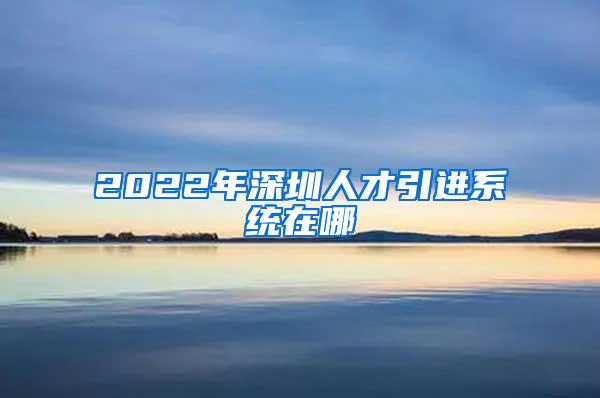 2022年深圳人才引进系统在哪