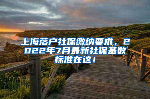 上海落户社保缴纳要求，2022年7月最新社保基数标准在这！