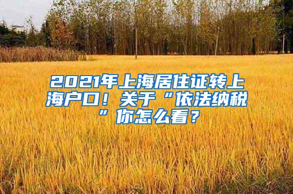 2021年上海居住证转上海户口！关于“依法纳税”你怎么看？