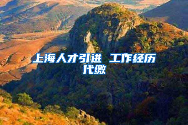 上海人才引进 工作经历代缴