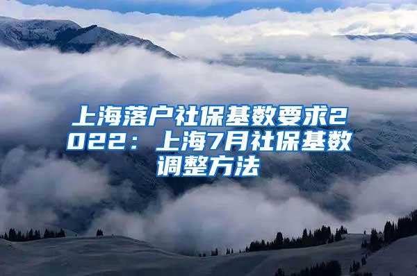 上海落户社保基数要求2022：上海7月社保基数调整方法