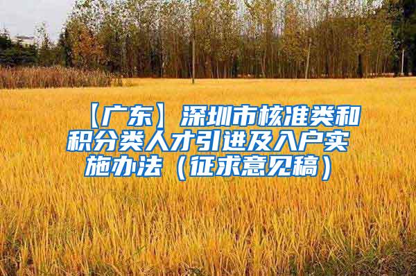 【广东】深圳市核准类和积分类人才引进及入户实施办法（征求意见稿）