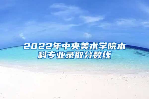 2022年中央美术学院本科专业录取分数线