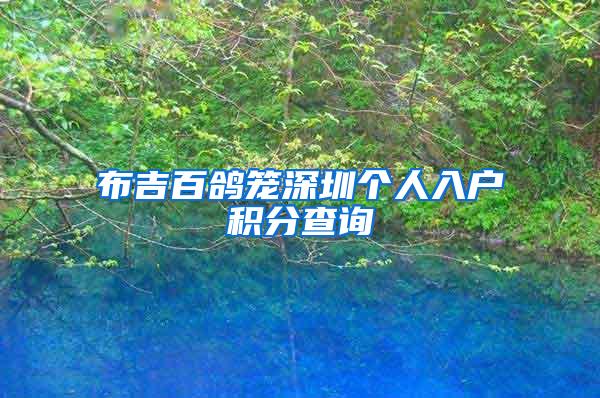 布吉百鸽笼深圳个人入户积分查询