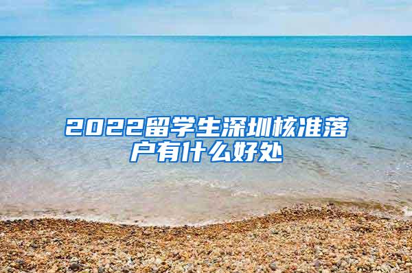 2022留学生深圳核准落户有什么好处