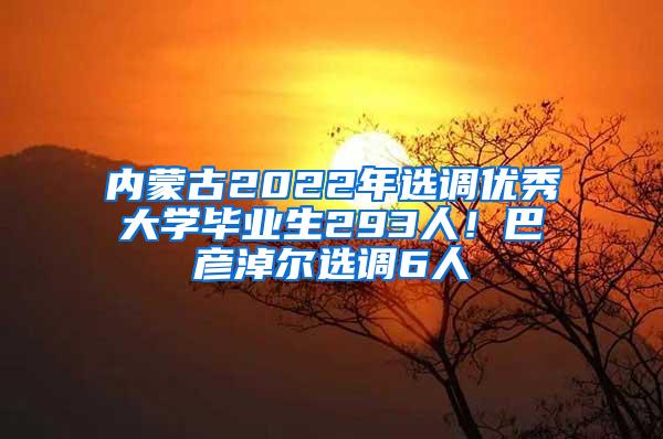 内蒙古2022年选调优秀大学毕业生293人！巴彦淖尔选调6人