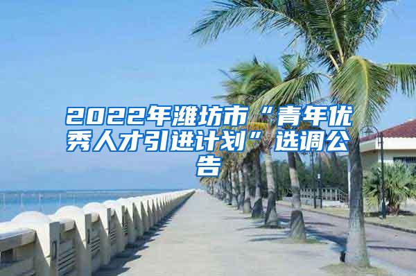 2022年潍坊市“青年优秀人才引进计划”选调公告
