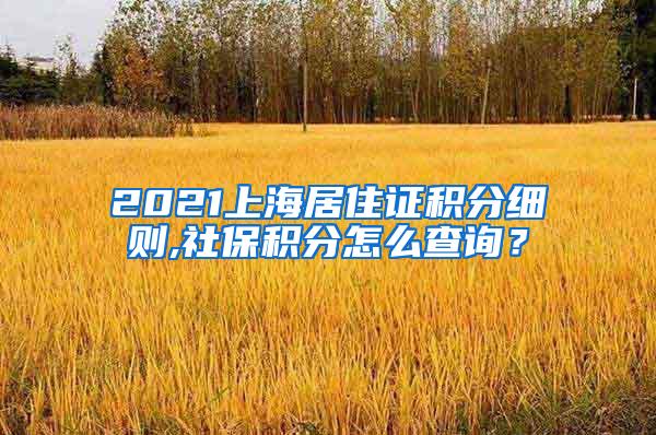 2021上海居住证积分细则,社保积分怎么查询？