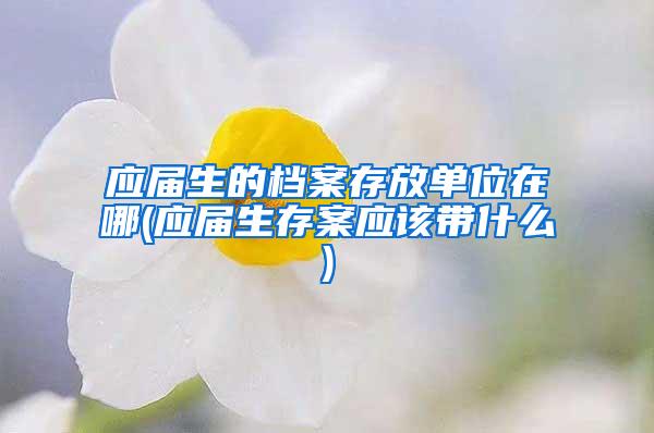 应届生的档案存放单位在哪(应届生存案应该带什么)