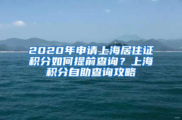2020年申请上海居住证积分如何提前查询？上海积分自助查询攻略