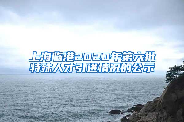 上海临港2020年第六批特殊人才引进情况的公示