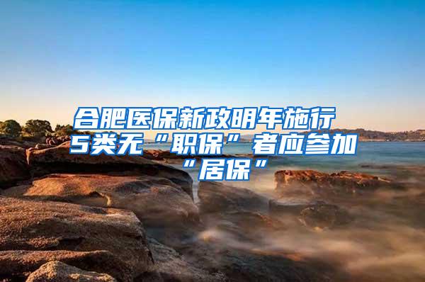 合肥医保新政明年施行 5类无“职保”者应参加“居保”