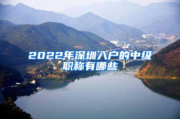 2022年深圳入户的中级职称有哪些