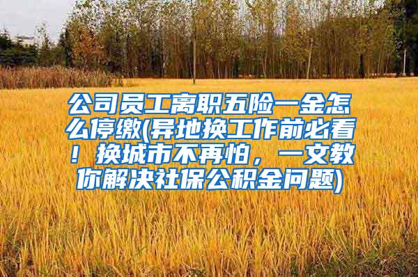 公司员工离职五险一金怎么停缴(异地换工作前必看！换城市不再怕，一文教你解决社保公积金问题)