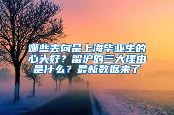 哪些去向是上海毕业生的心头好？留沪的三大理由是什么？最新数据来了→