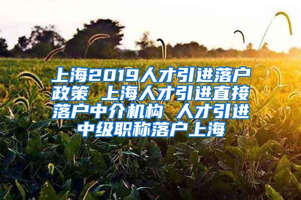 上海2019人才引进落户政策 上海人才引进直接落户中介机构 人才引进中级职称落户上海