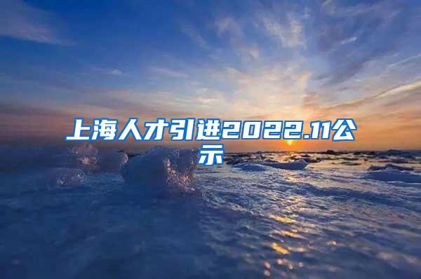 上海人才引进2022.11公示