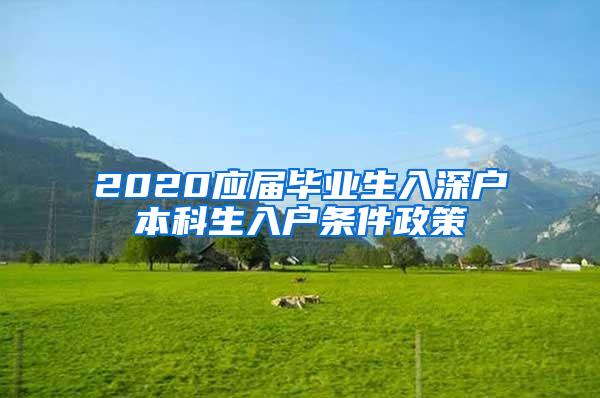 2020应届毕业生入深户本科生入户条件政策