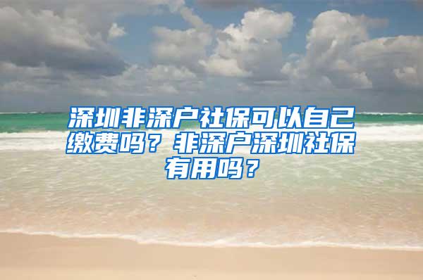 深圳非深户社保可以自己缴费吗？非深户深圳社保有用吗？