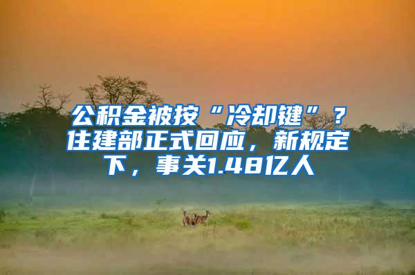 公积金被按“冷却键”？住建部正式回应，新规定下，事关1.48亿人