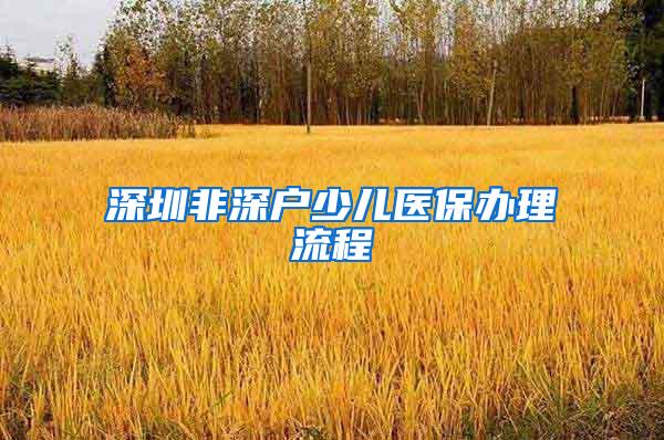 深圳非深户少儿医保办理流程