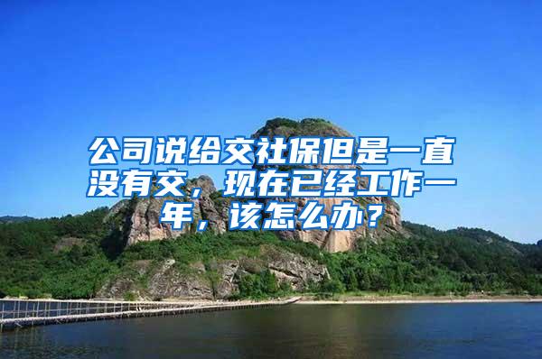 公司说给交社保但是一直没有交，现在已经工作一年，该怎么办？