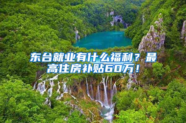 东台就业有什么福利？最高住房补贴60万！