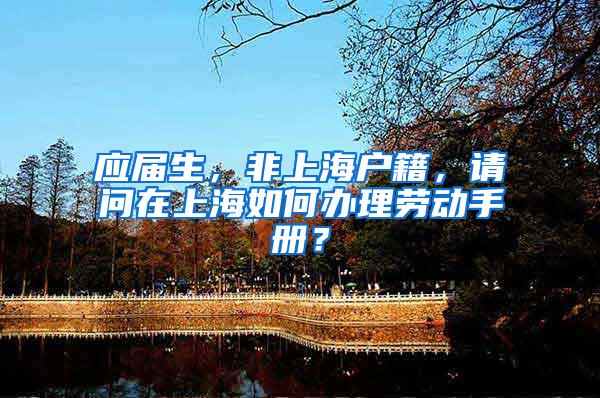 应届生，非上海户籍，请问在上海如何办理劳动手册？