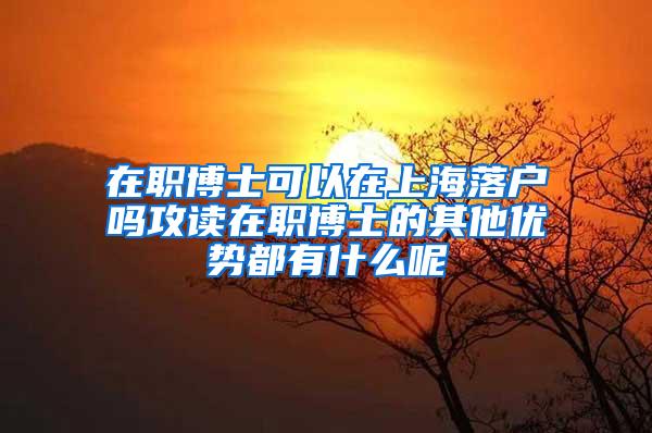 在职博士可以在上海落户吗攻读在职博士的其他优势都有什么呢