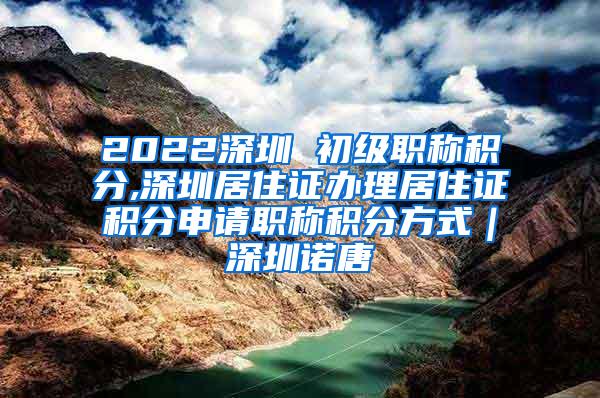 2022深圳 初级职称积分,深圳居住证办理居住证积分申请职称积分方式｜深圳诺唐