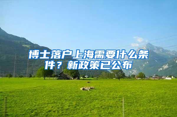 博士落户上海需要什么条件？新政策已公布