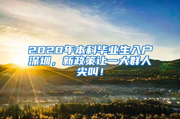 2020年本科毕业生入户深圳，新政策让一大群人尖叫！