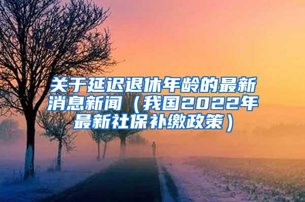 关于延迟退休年龄的最新消息新闻（我国2022年最新社保补缴政策）