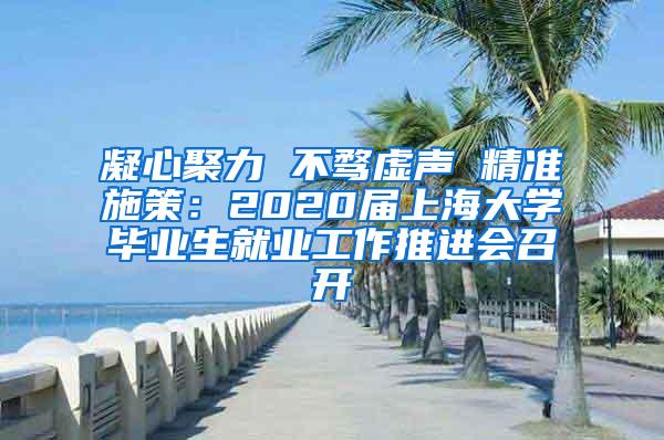 凝心聚力 不骛虚声 精准施策：2020届上海大学毕业生就业工作推进会召开