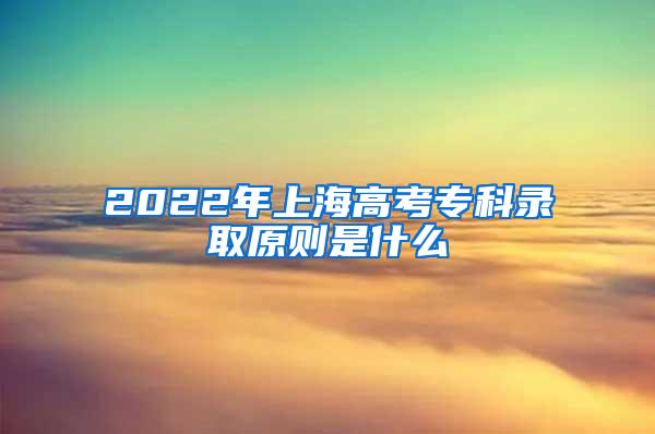 2022年上海高考专科录取原则是什么