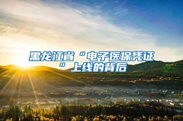 黑龙江省“电子医保凭证”上线的背后