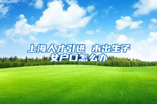 上海人才引进 未出生子女户口怎么办