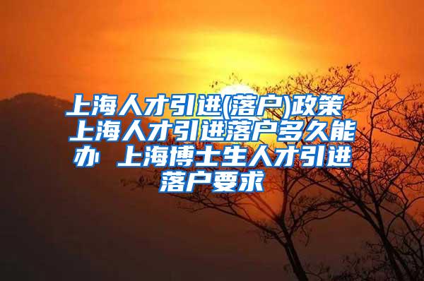 上海人才引进(落户)政策 上海人才引进落户多久能办 上海博士生人才引进落户要求