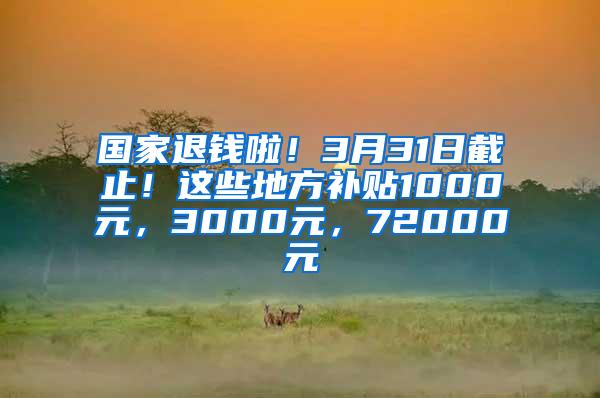 国家退钱啦！3月31日截止！这些地方补贴1000元，3000元，72000元