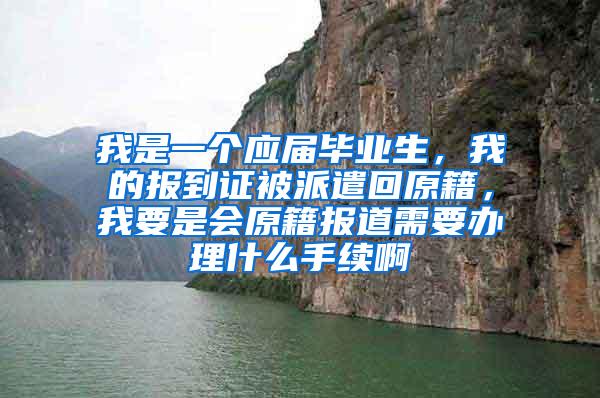 我是一个应届毕业生，我的报到证被派遣回原籍，我要是会原籍报道需要办理什么手续啊