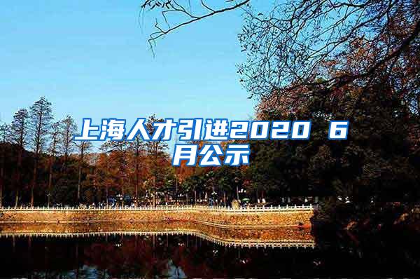 上海人才引进2020 6月公示