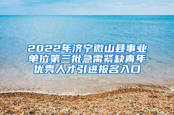 2022年济宁微山县事业单位第三批急需紧缺青年优秀人才引进报名入口